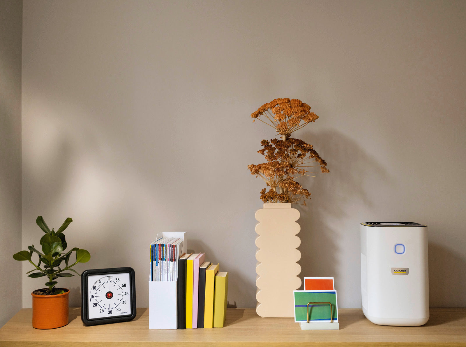 Air purifier AF 20