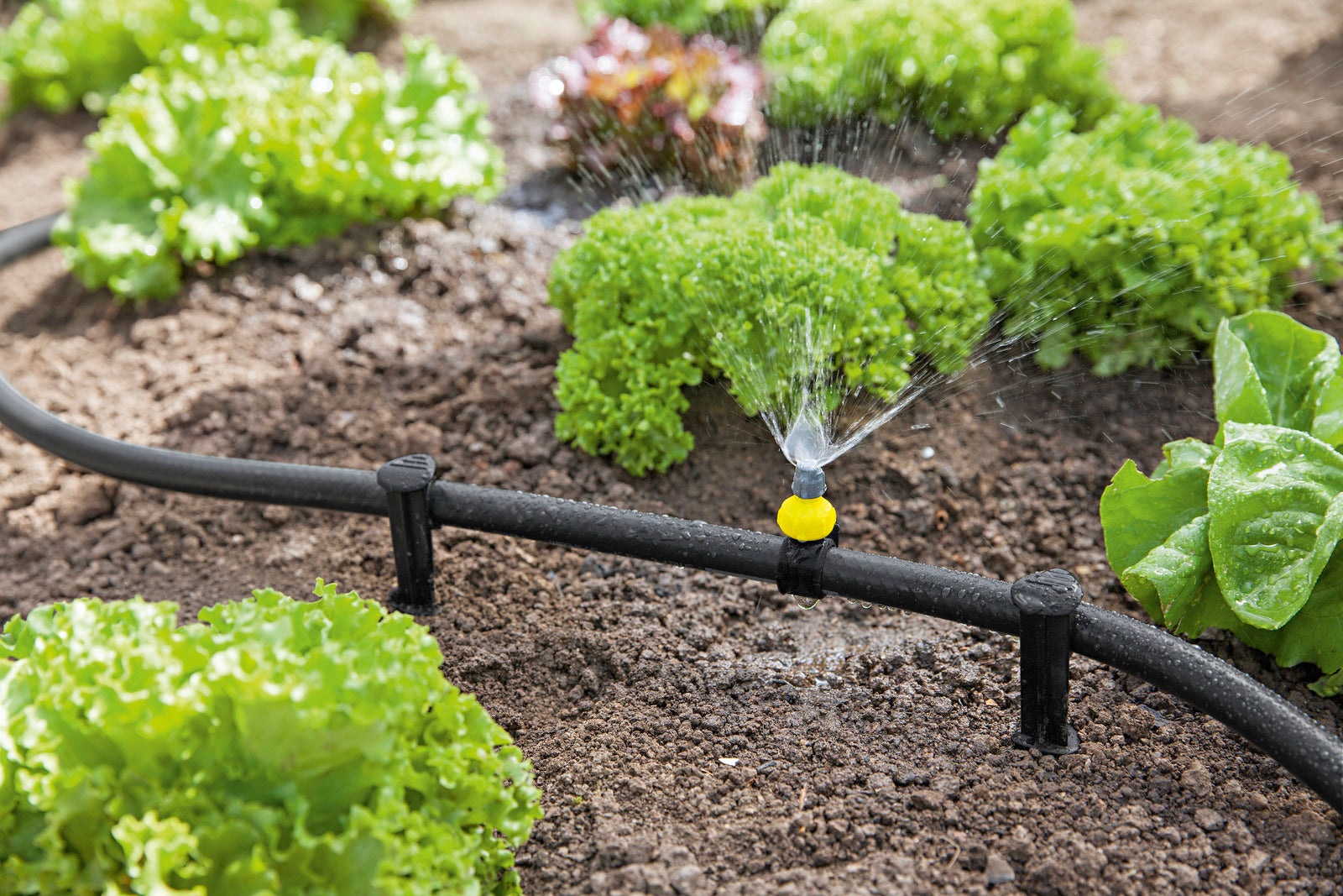 Rain System Hose: 10m