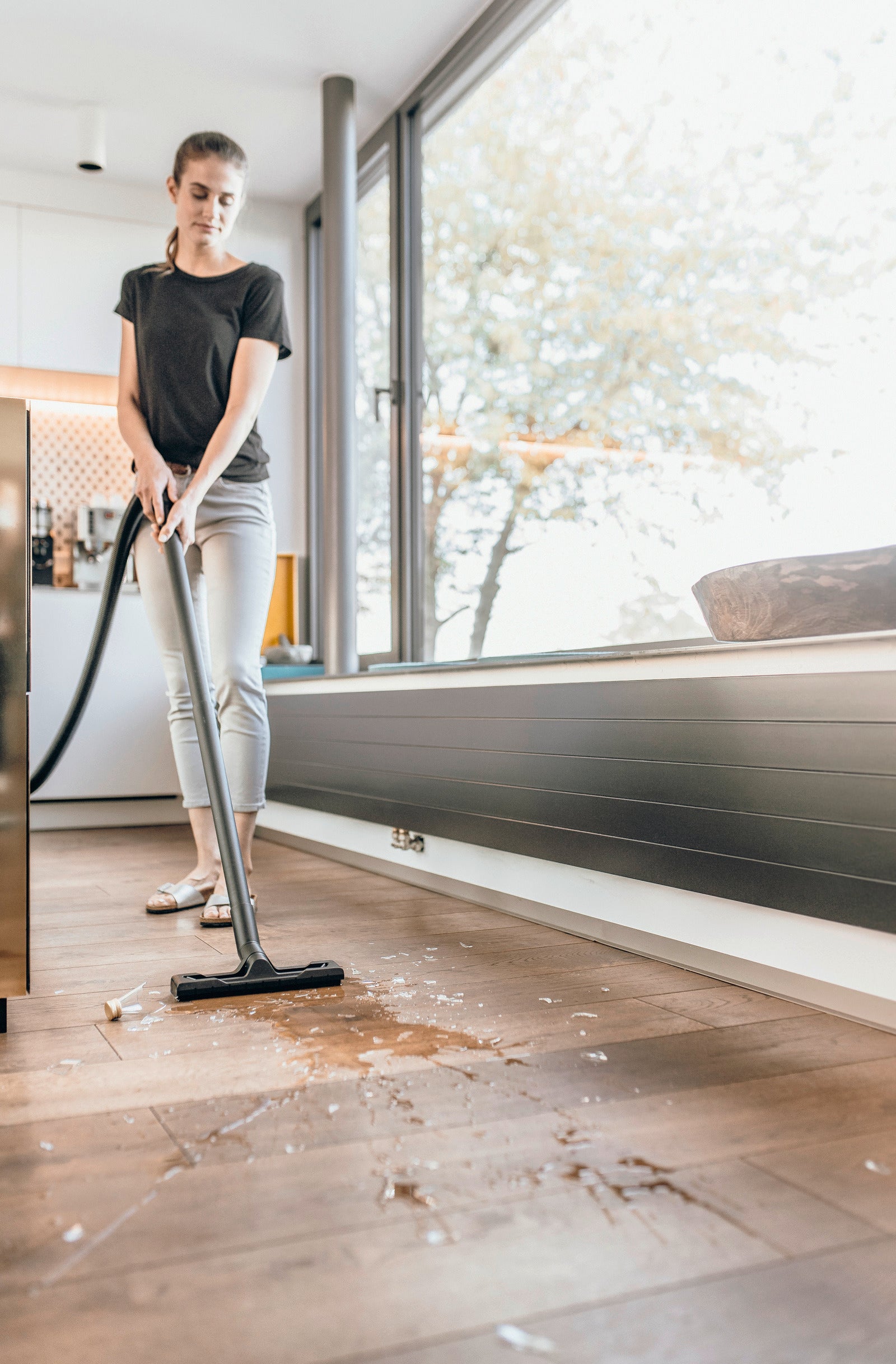 Wet and dry vacuum cleaner WD 2 Plus