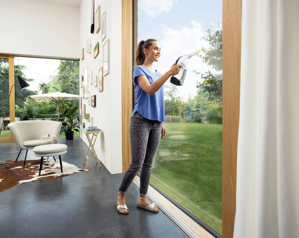 Window Vac WV 6 Plus